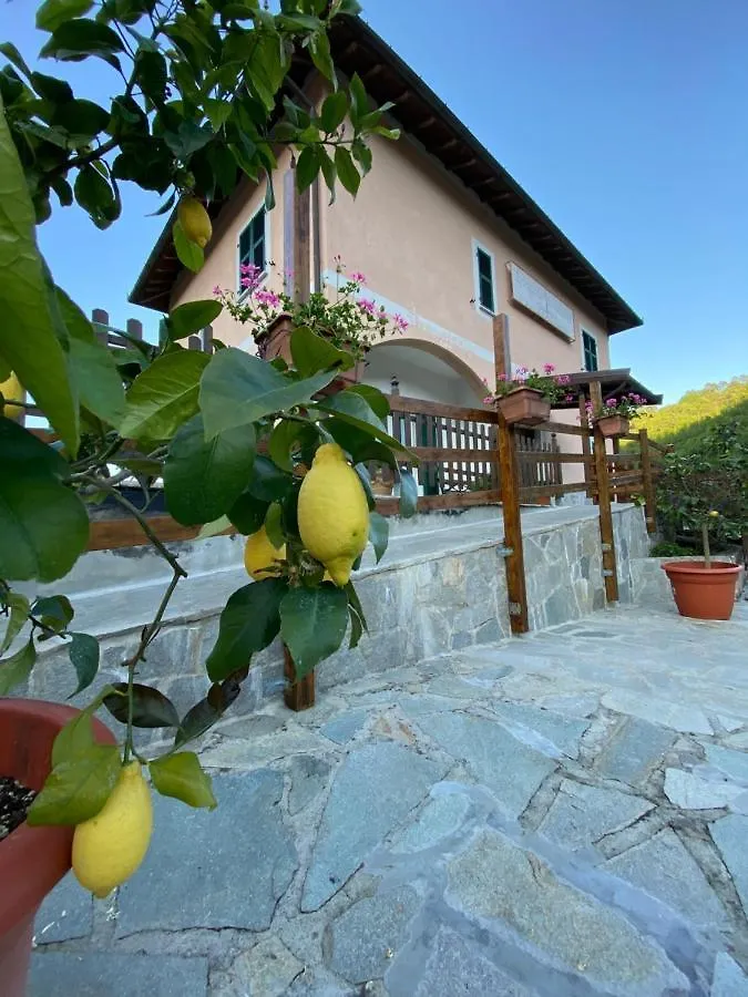 פיניונה Locanda Da Marco